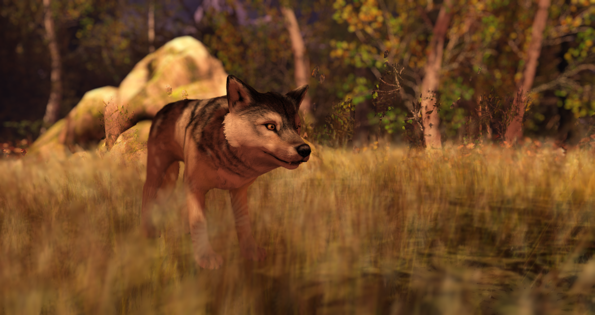 Original 5a5ffa8473ed170986000001