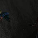 Thumb 59ee95f573ed1777b5000001