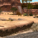 Thumb 64220c9664d627304cd36b65