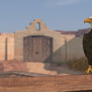 Thumb 64220eec7f64dd6b3dff9f6e