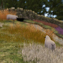 Thumb 66b910896b9bf43effcf3c09