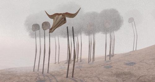 Web 5a7130bed774f81247000001