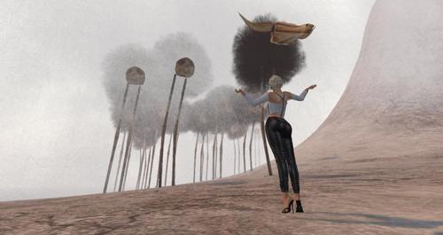 Web 5a7130f1289dd262d9000001