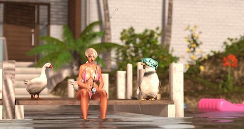 Web 623eee2fb9336e0850eedffd