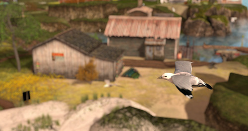 Web 63e5508de7f96e0ae86f1479