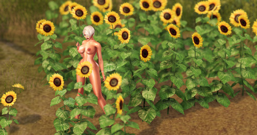 Web 66c0a229f4a9934a43f279d7