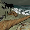 Thumb 53595c84a73e21510a000001