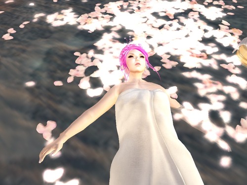 Web 53596036a73e2173ac000001