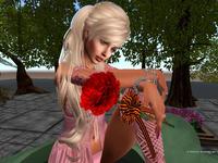 Small 5910b7ebd774f81451000001