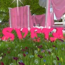 Thumb 544c21df128cc95043000001