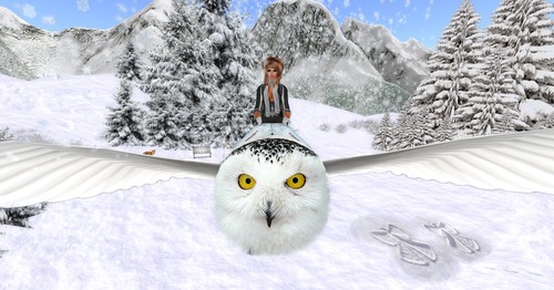 Web 53b9c624128cc97e36000001