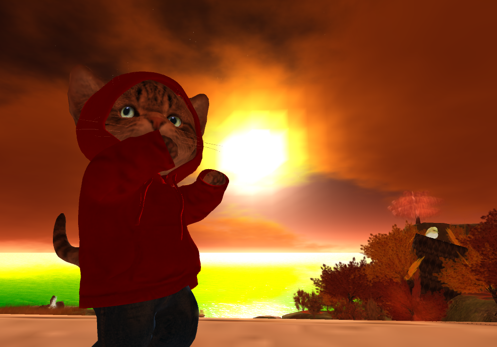 Original 53da7150128cc97126000001