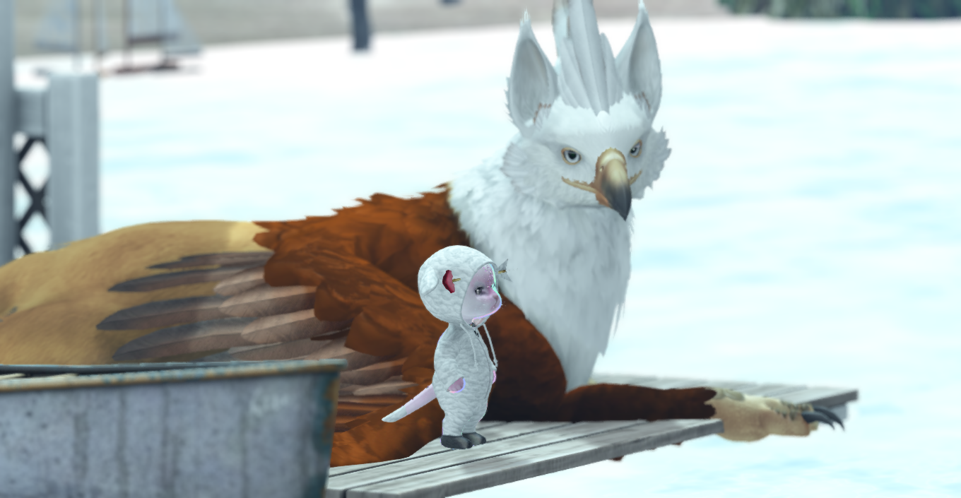 Original 642e004b3d8d3c101fdca015