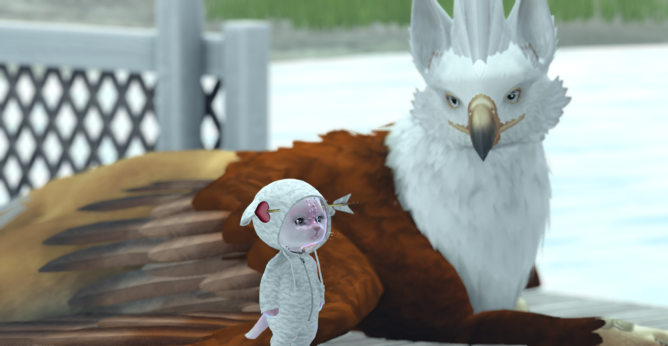 Original 642e00917d11db36e61cbc67