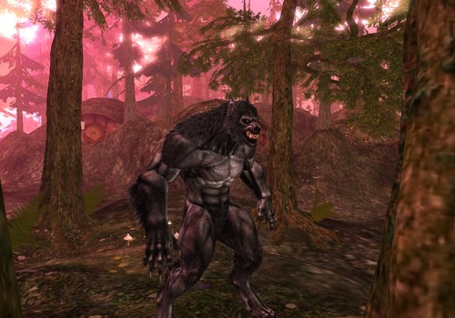 Web 53ad890b128cc9732f000001