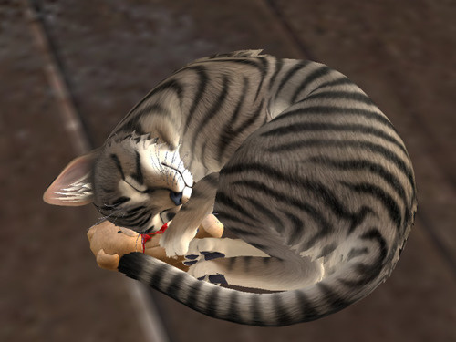 Web 63f1629339fcbe41162cc78a