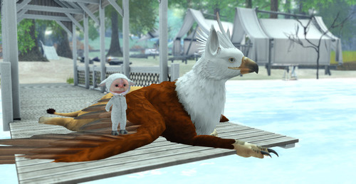 Web 642dfb277f64dd47cbff9f6e