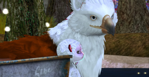 Web 642e01d2af188e5ab2d5513f