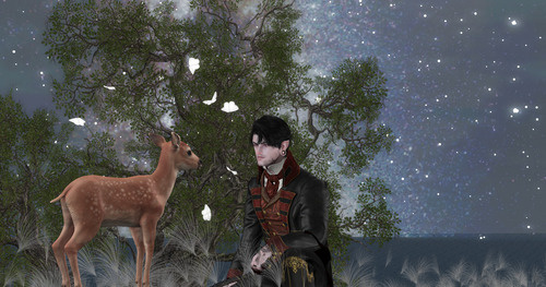 Web 67e8575d2773f3495b65832a