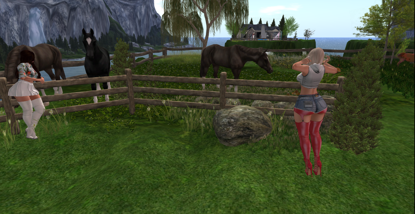 Original 5c0960b1d9859c696d000001