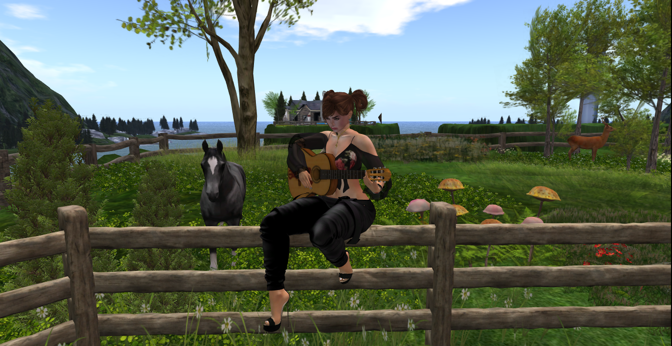 Original 5c0d144a289dd20953000001