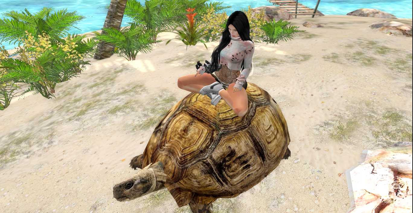 Original 5c0f2f91d9859c41a8000001