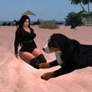 Thumb 5bf355a773ed1771f4000001