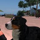 Thumb 5bf355dd289dd20bf9000001