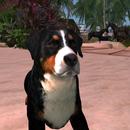 Thumb 5bf35602d9859c0690000001