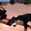 Thumb 5bf3569ed774f821fa000001