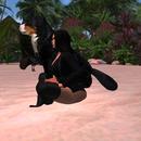 Thumb 5bf3576673ed177cf5000001