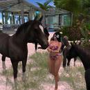 Thumb 5bf35cb0289dd2340e000001