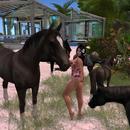 Thumb 5bf35ccf289dd235f6000001