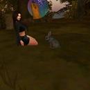 Thumb 5c00ae9cd9859c30f5000001