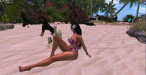 Web 5bf35b4673ed171650000001