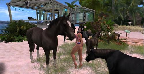 Web 5bf35ccf289dd235f6000001