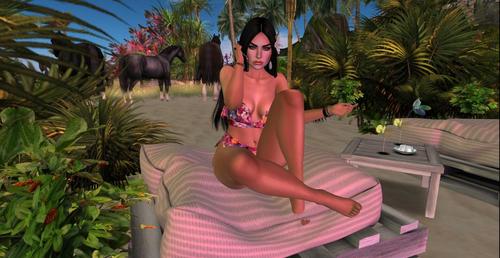 Web 5bf36ff3289dd2244a000001