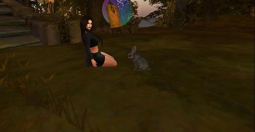 Web 5c00ae9cd9859c30f5000001