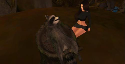 Web 5c00af12289dd22146000001