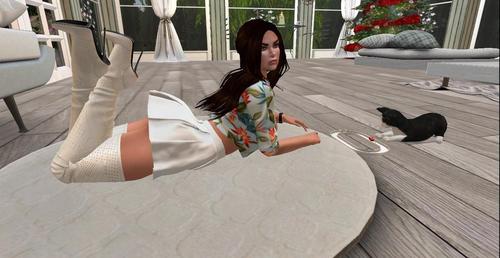 Web 5c0749df73ed176eb4000001