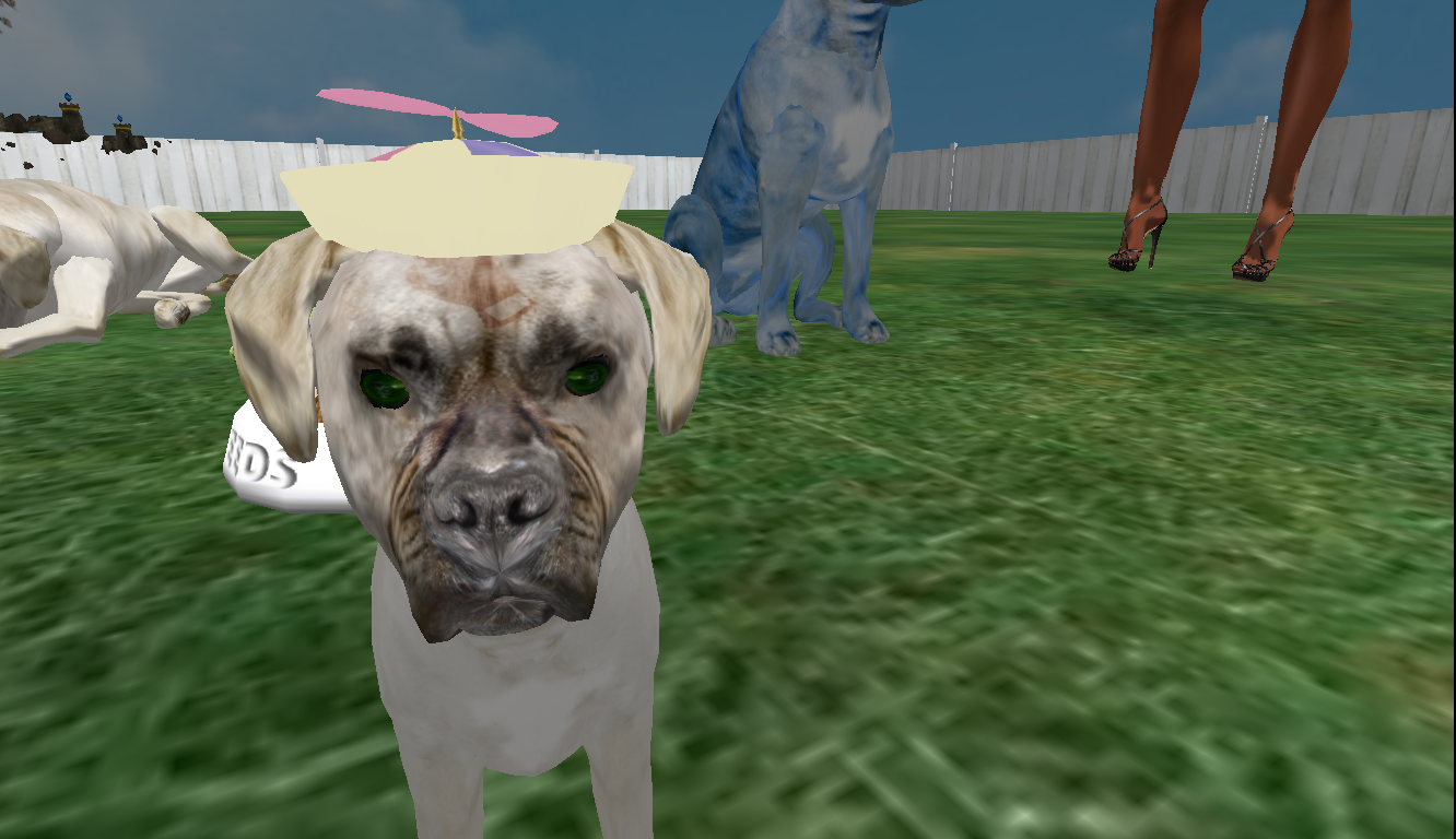 Original 5661fced128cc95510000001