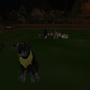 Thumb 56575f22f8a1ec1e1f000001