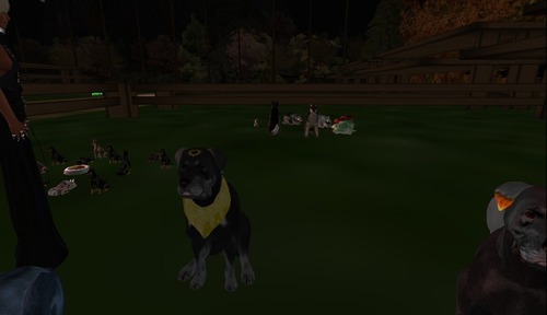 Web 56575f22f8a1ec1e1f000001