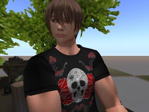 Web 6300513f97b88f45a88755cd