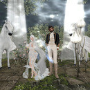 Thumb 65ce87bef245c1698e157382