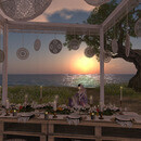 Thumb 65cf5e4e5b094878013b78a0