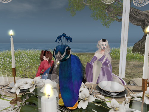 Web 65cf639fc6a5d642e984b3ab