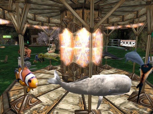 Web 5753e495e85cda1fca000001