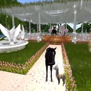 Thumb 550af939a73e214c34000001