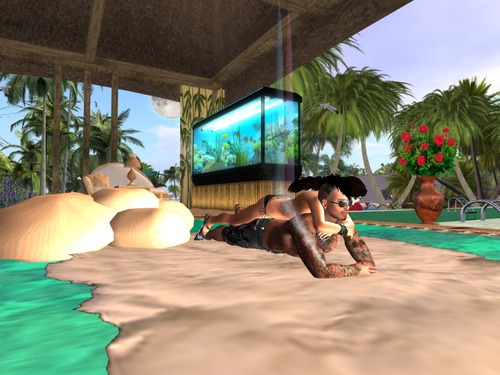 Web 571b9dc0b713f72853000001